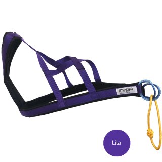 Lila (aktuell nicht in S, 3XL verfügbar)